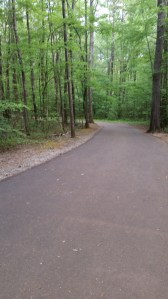 walking trail